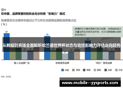 从数据到赛场全面解析哈兰德世界杯状态与竞技影响力评估走向趋势 从数据到赛场全面解析哈兰德世界杯状态与竞技影响力评估走向趋势